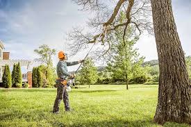 Best Fruit Tree Pruning  in Thomasville, AL