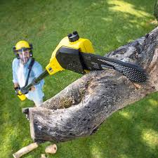 Best Grass Overseeding  in Thomasville, AL