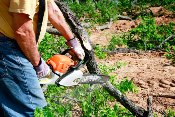  Thomasville, AL Tree Removal Pros